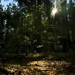 Bajkowy Zakatek Guzowy Piec