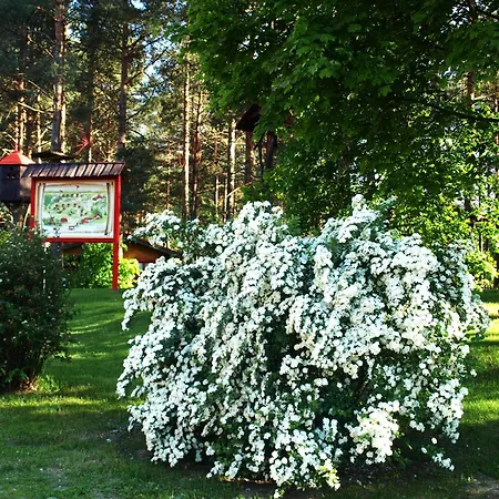 Bajkowy Zakatek Hotel Guzowy Piec