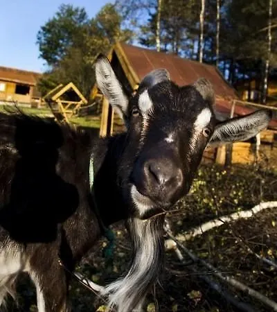 Vakantiepark Bajkowy Zakatek Guzowy Piec