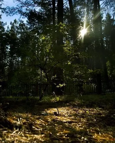 Bajkowy Zakatek Guzowy Piec