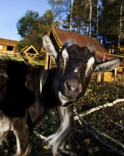 Holiday park Bajkowy Zakatek Guzowy Piec