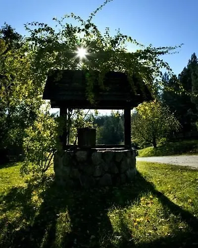 Holiday park Bajkowy Zakatek 3*